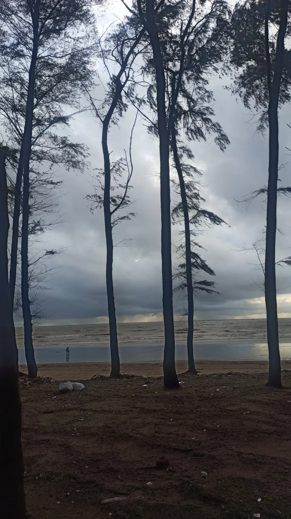 Photo of A isoleted beach near Daman by Surendra Singh Chouhan