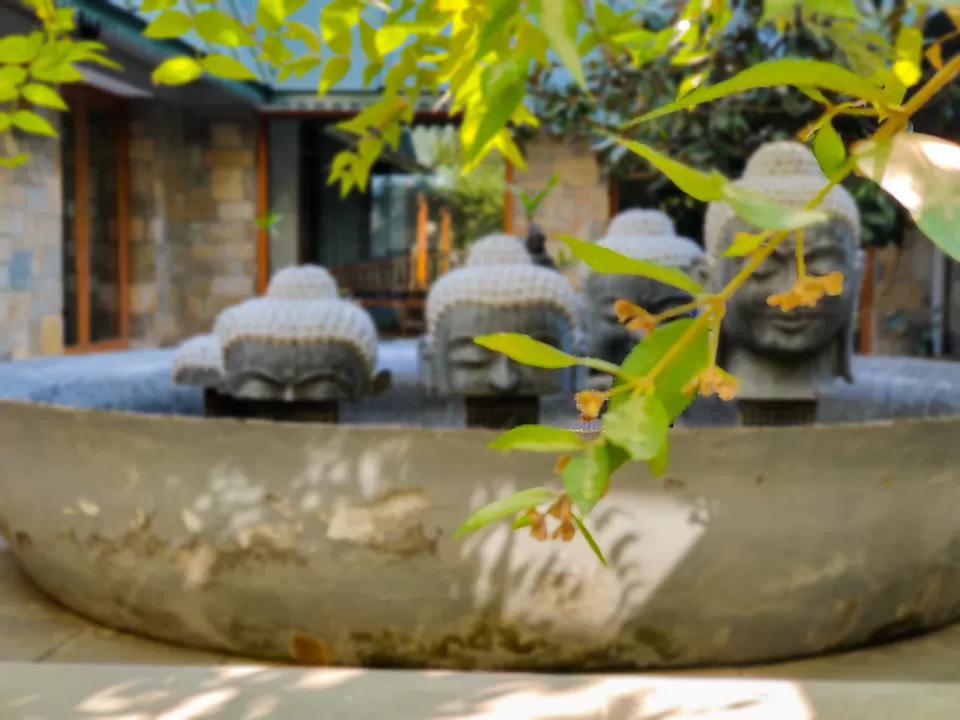 Photo of AyurVAID Kalmatia, Almora, Uttarakhand, India by Rajat Kamboj