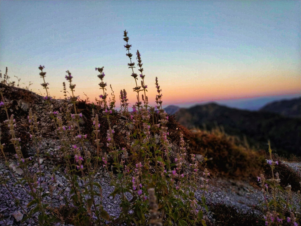 Photo of George Everest Peak, George Everest, Kitab Ghar, The Mall Road, Mussorie Range, Uttarakhand, India by Rajat Kamboj