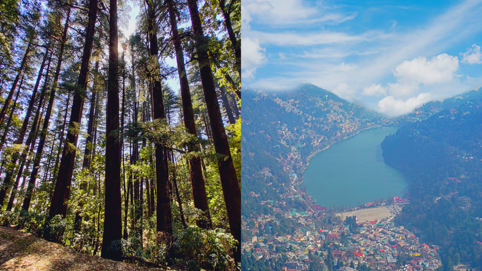 Photo of Pangot: An Ideal Weekend Getaway to a Paradise Lost in Time by Rajat Kamboj