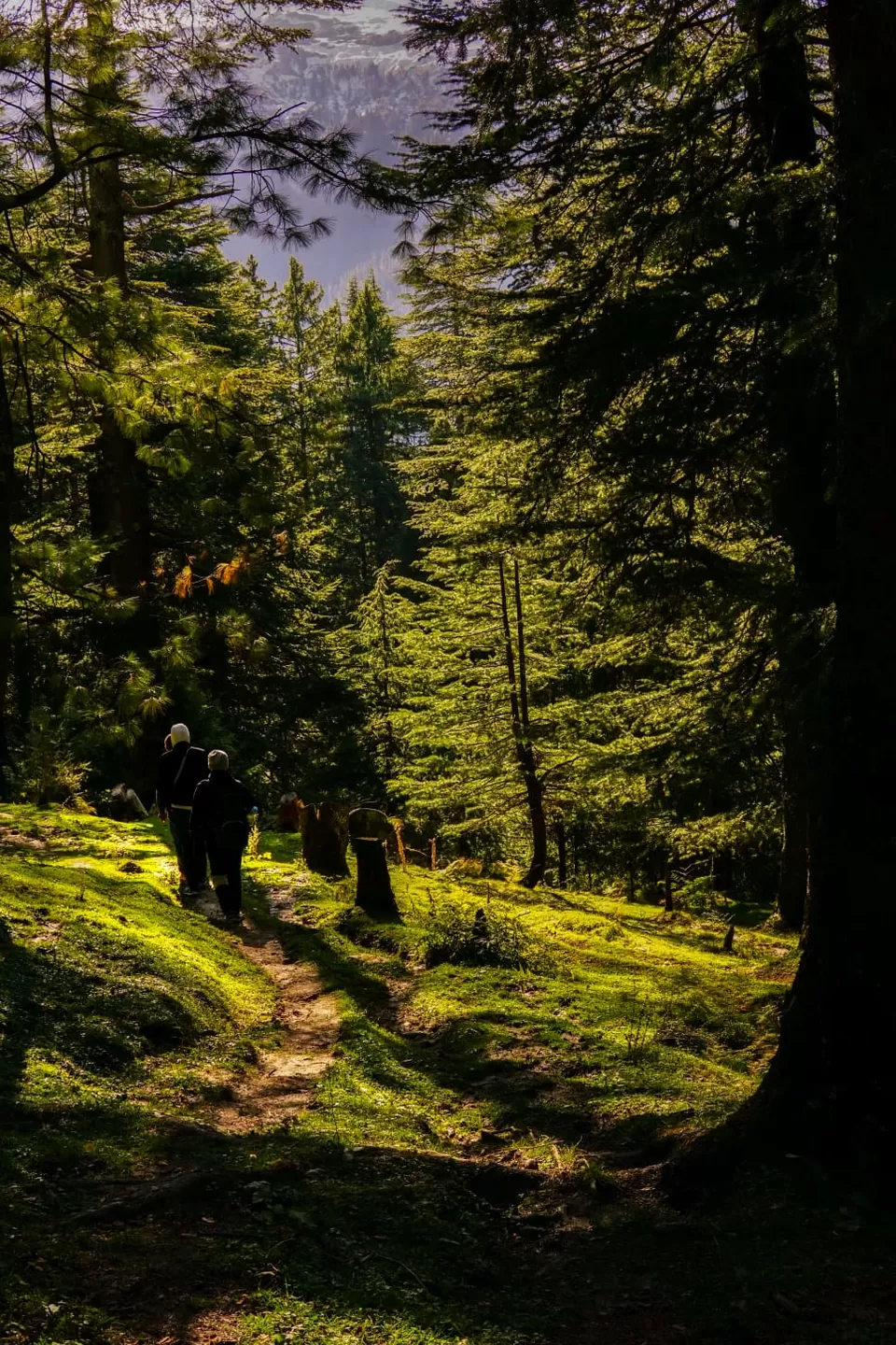 Photo of Here's How I Travelled For Free with Tripoto this Winter! #TM2021 by Rajat Kamboj