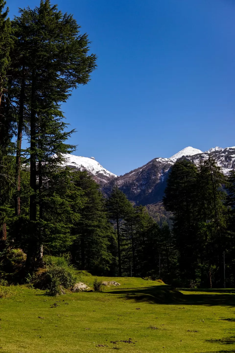 Photo of Here's How I Travelled For Free with Tripoto this Winter! #TM2021 by Rajat Kamboj