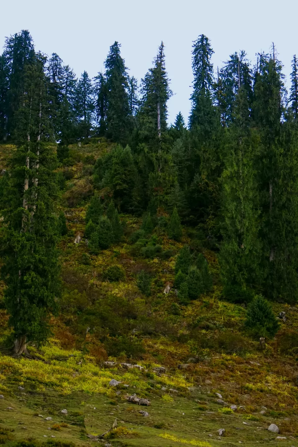 Photo of Here's How I Travelled For Free with Tripoto this Winter! #TM2021 by Rajat Kamboj