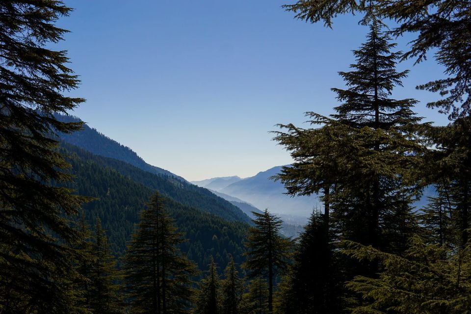 Photo of Here's How I Travelled For Free with Tripoto this Winter! #TM2021 by Rajat Kamboj