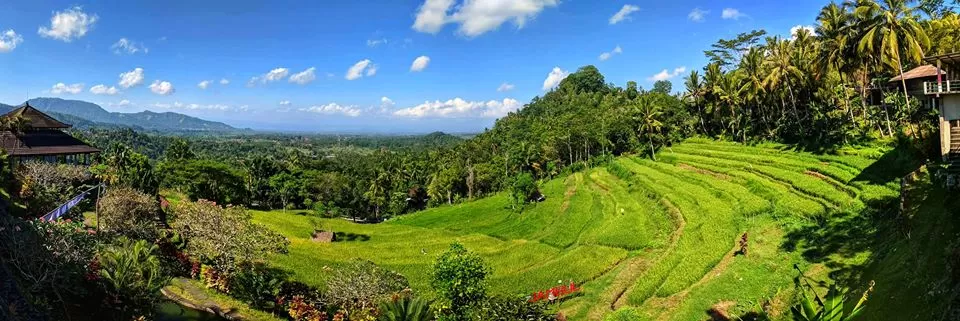 Photo of Ubud, Gianyar, Bali, Indonesia by Vignesh Venkat