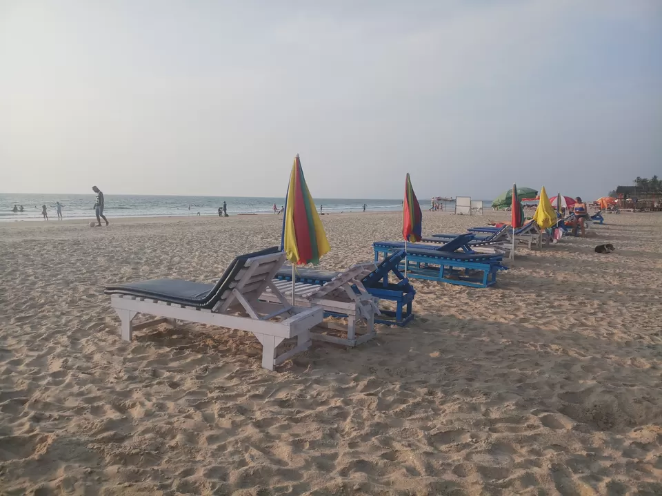 Photo of Go Goa Gone 2018 by Shivang Ganjoo