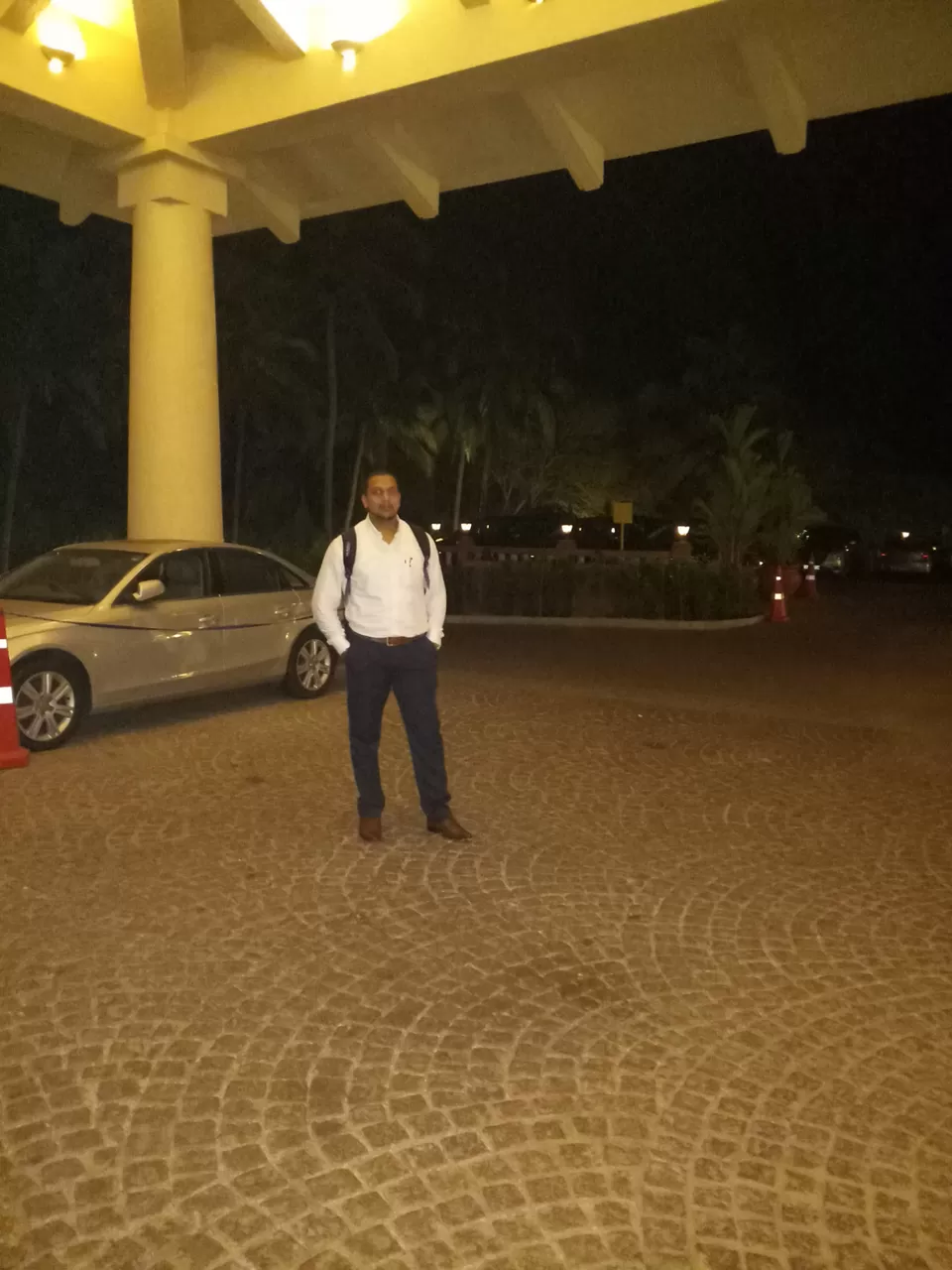 Photo of Go Goa Gone 2018 by Shivang Ganjoo