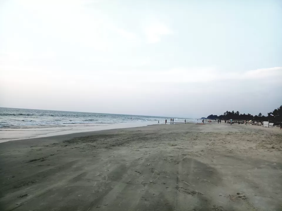 Photo of Go Goa Gone 2018 by Shivang Ganjoo