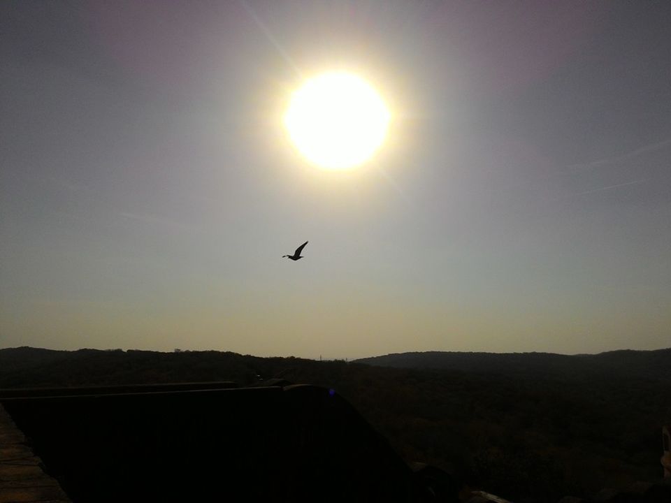 Photo of Rendezvous with Rajasthan - A Lone Backpacker's Diary (Part 1 - The Pink City, Jaipur) 13/36 by Manish Menon