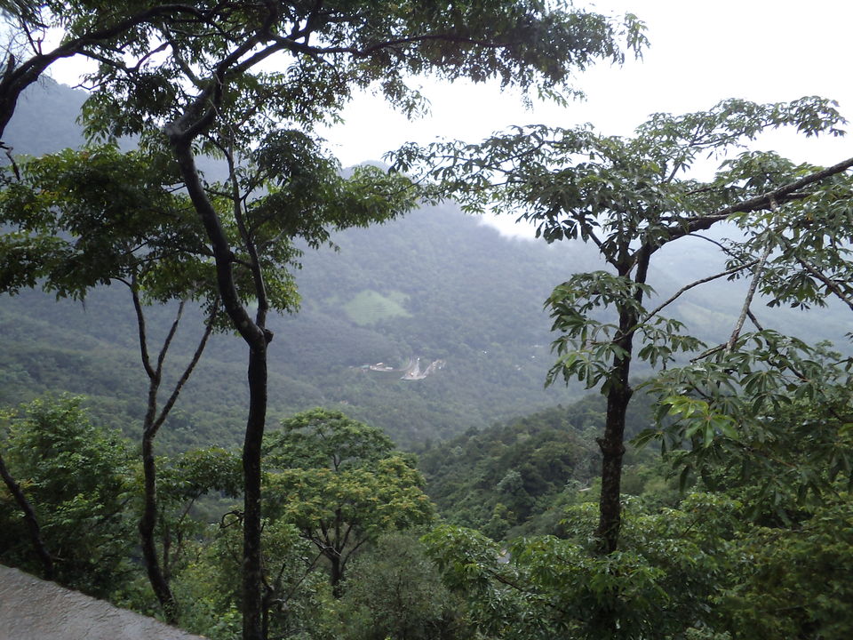 Photo of Wayanad: A Cup of Chai, Her Majesty's Way 9/13 by Manish Menon