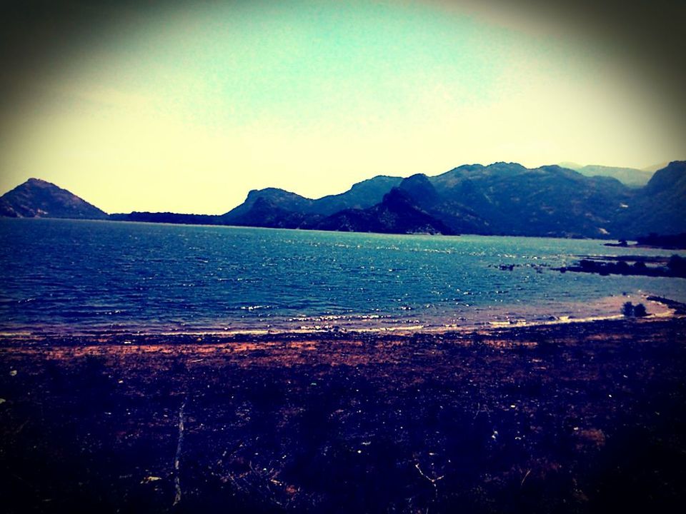 Photo of Unplanned Road Trip to Udumalpet and Palani 20/57 by Manish Menon