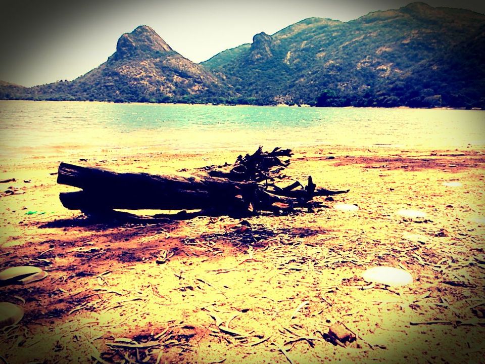 Photo of Unplanned Road Trip to Udumalpet and Palani 30/57 by Manish Menon