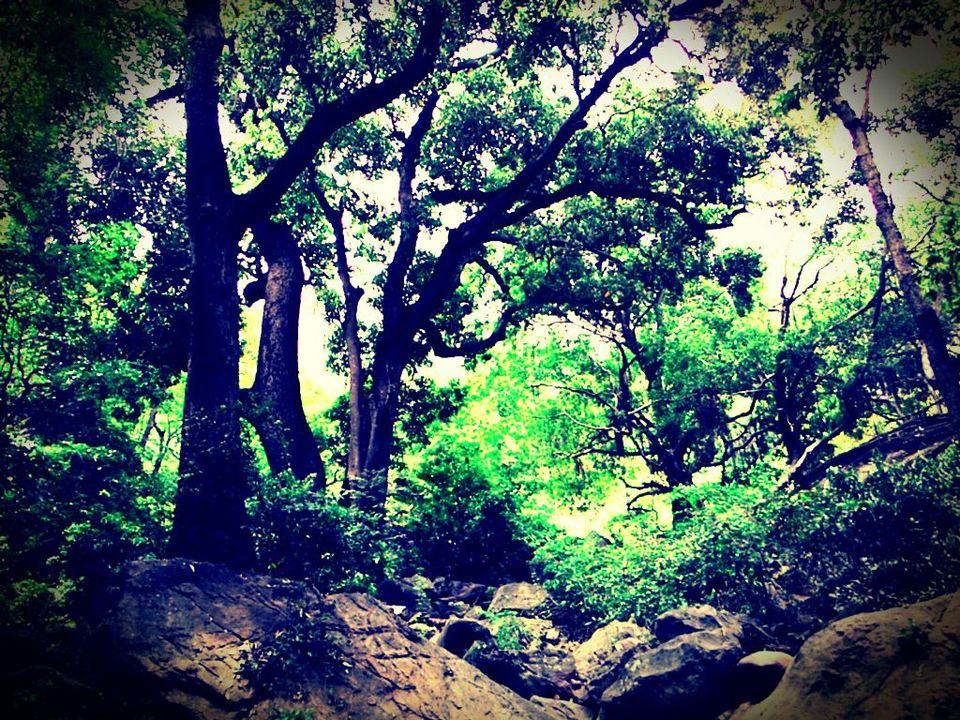 Photo of Unplanned Road Trip to Udumalpet and Palani 33/57 by Manish Menon