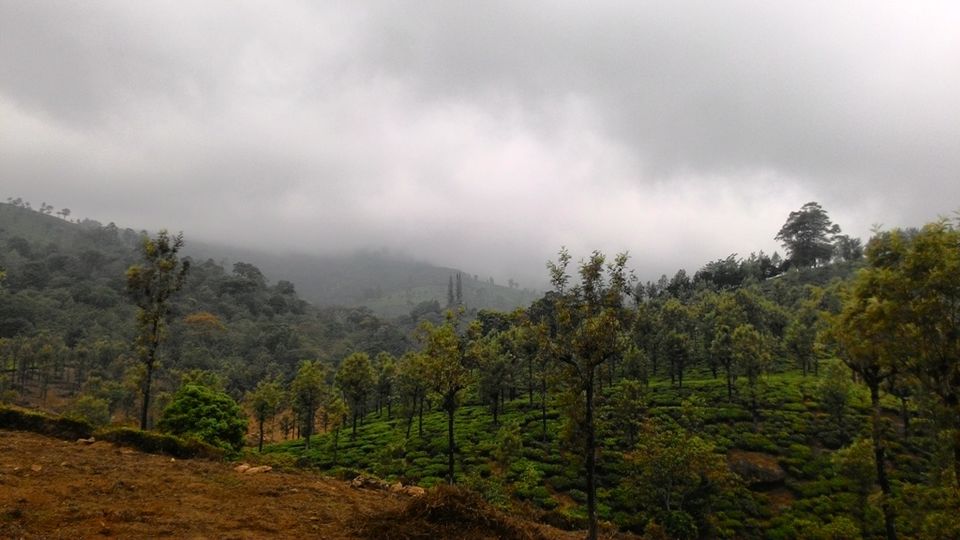 Photo of Unplanned Road Trip to Udumalpet and Palani 45/57 by Manish Menon