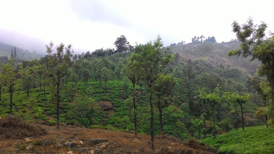 Photo of Unplanned Road Trip to Udumalpet and Palani 46/57 by Manish Menon
