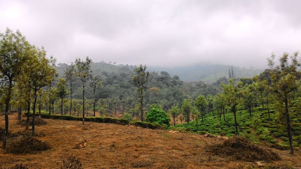 Photo of Unplanned Road Trip to Udumalpet and Palani 47/57 by Manish Menon