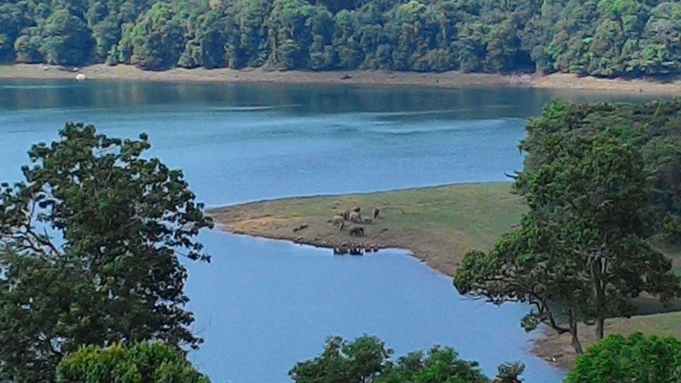 Photo of Unplanned Road Trip to Udumalpet and Palani 51/57 by Manish Menon