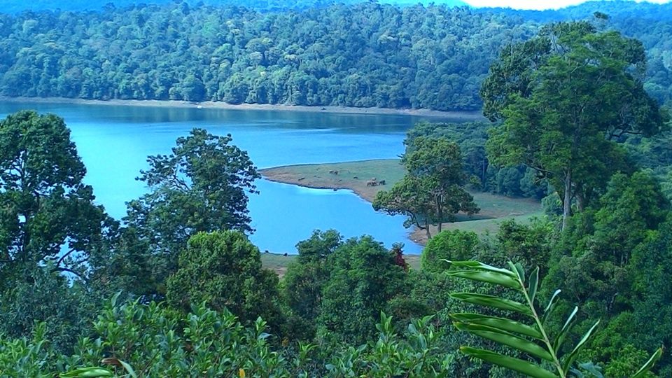 Photo of Unplanned Road Trip to Udumalpet and Palani 54/57 by Manish Menon