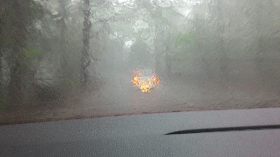 Photo of Unplanned Road Trip to Udumalpet and Palani 56/57 by Manish Menon
