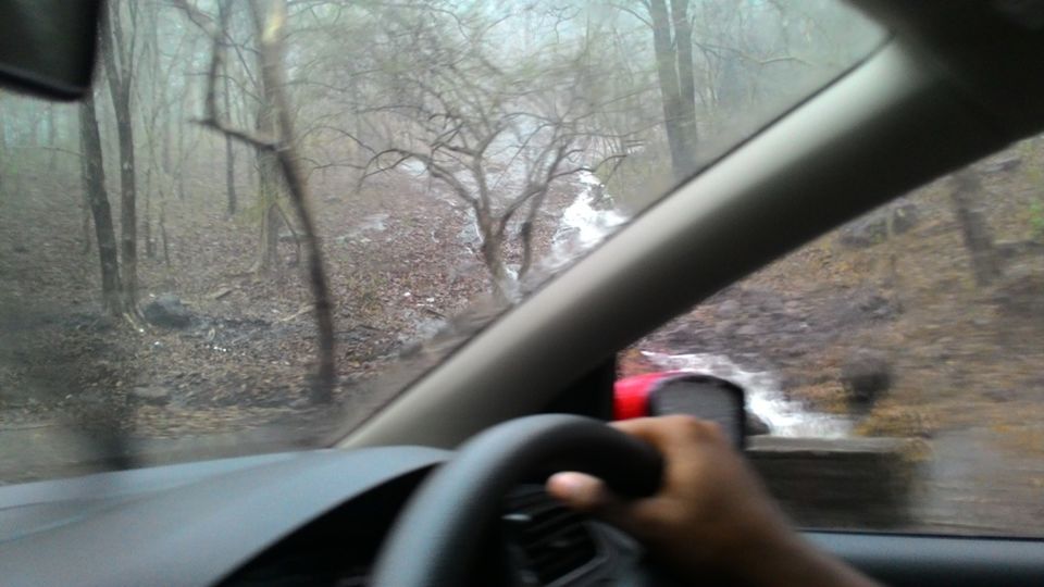 Photo of Unplanned Road Trip to Udumalpet and Palani 57/57 by Manish Menon
