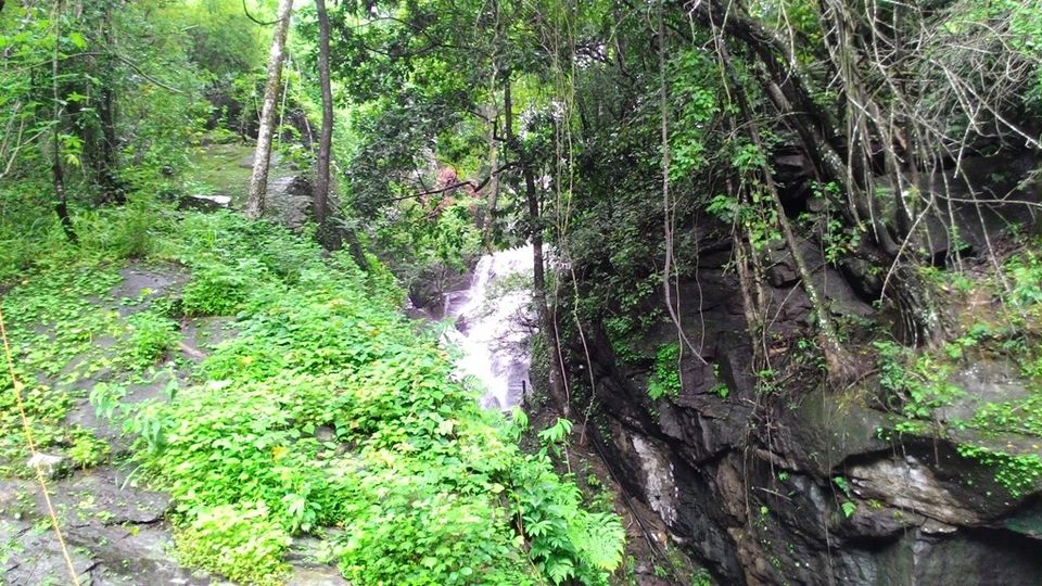 Photo of Mandalpatti Near Madikeri Is Where You Should Head For That Perfect Monsoon Road Trip 1/36 by Manish Menon