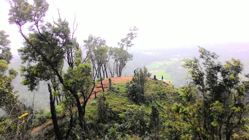 Photo of Mandalpatti Near Madikeri Is Where You Should Head For That Perfect Monsoon Road Trip 7/36 by Manish Menon