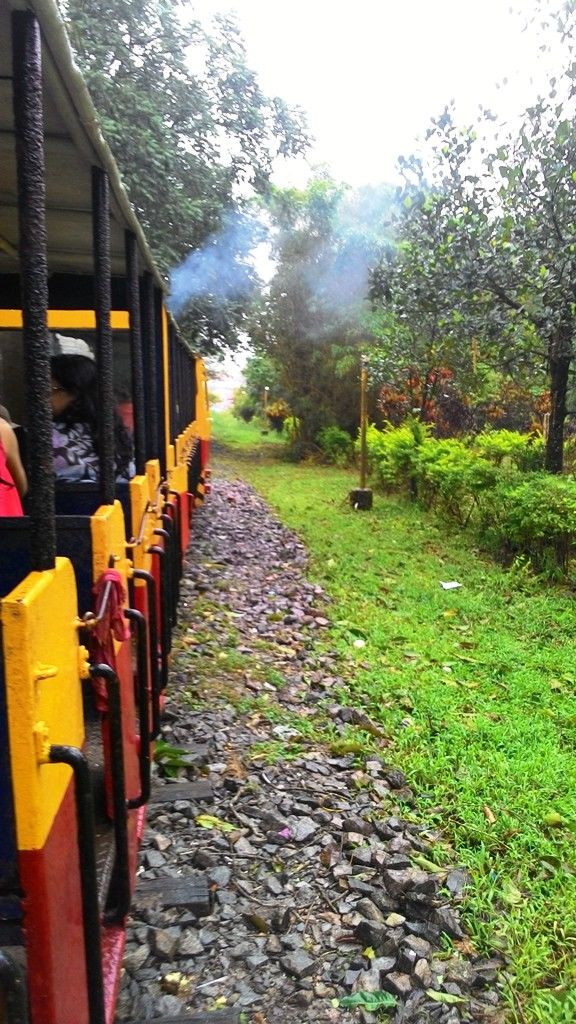 Photo of Mandalpatti Near Madikeri Is Where You Should Head For That Perfect Monsoon Road Trip 12/36 by Manish Menon