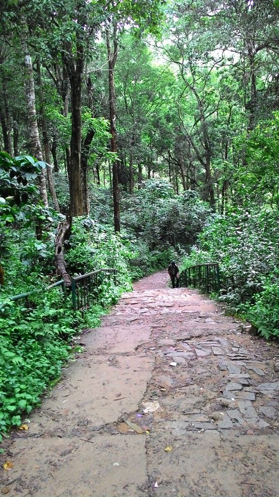 Photo of Mandalpatti Near Madikeri Is Where You Should Head For That Perfect Monsoon Road Trip 16/36 by Manish Menon