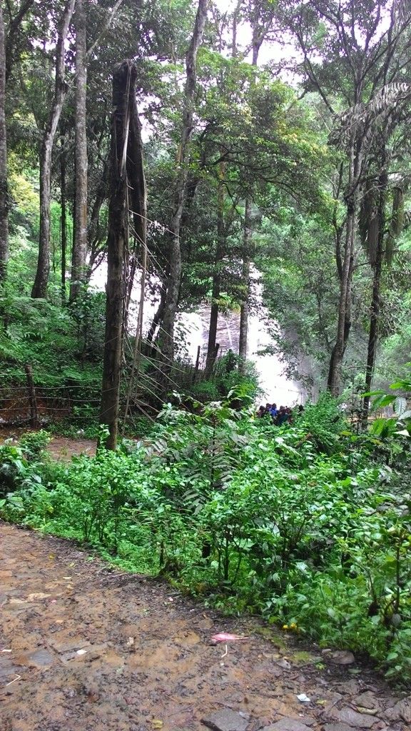 Photo of Mandalpatti Near Madikeri Is Where You Should Head For That Perfect Monsoon Road Trip 17/36 by Manish Menon