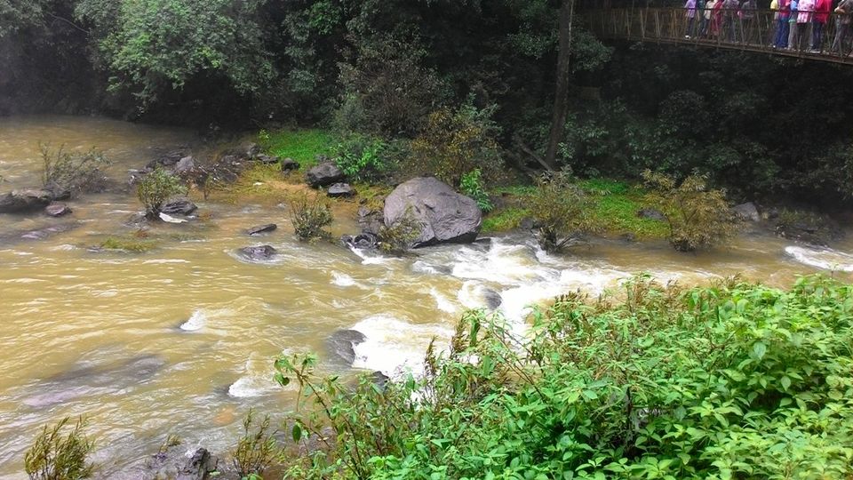 Photo of Mandalpatti Near Madikeri Is Where You Should Head For That Perfect Monsoon Road Trip 20/36 by Manish Menon