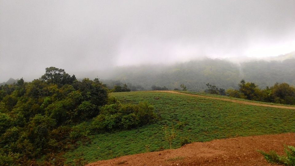 Photo of Mandalpatti Near Madikeri Is Where You Should Head For That Perfect Monsoon Road Trip 22/36 by Manish Menon