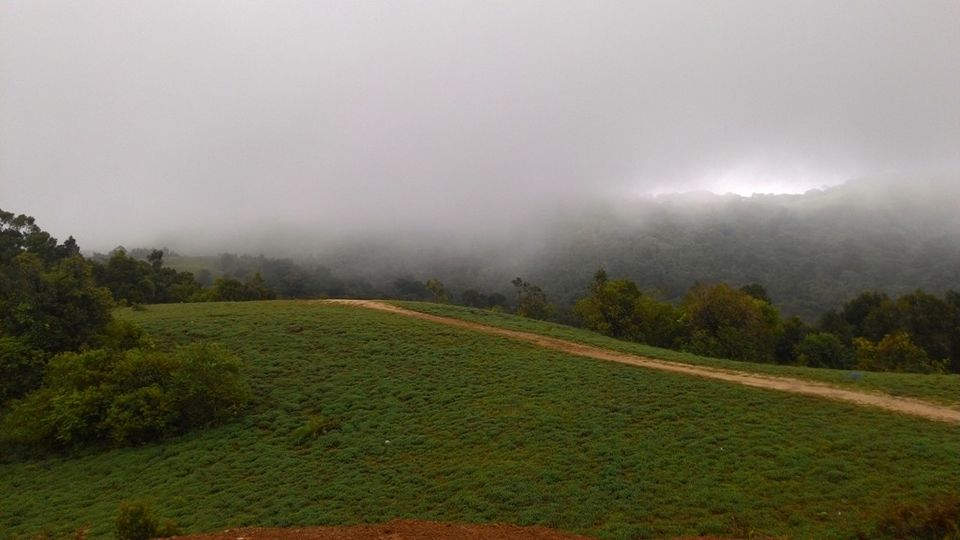 Photo of Mandalpatti Near Madikeri Is Where You Should Head For That Perfect Monsoon Road Trip 23/36 by Manish Menon