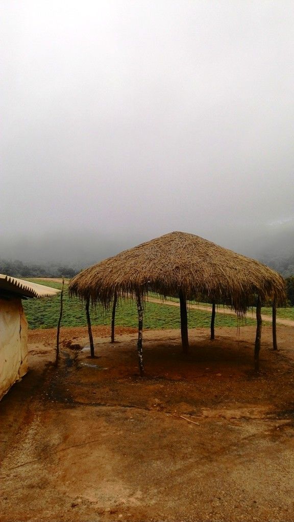 Photo of Mandalpatti Near Madikeri Is Where You Should Head For That Perfect Monsoon Road Trip 24/36 by Manish Menon