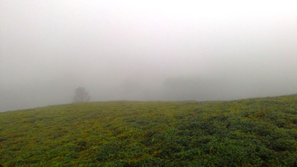 Photo of Mandalpatti Near Madikeri Is Where You Should Head For That Perfect Monsoon Road Trip 32/36 by Manish Menon