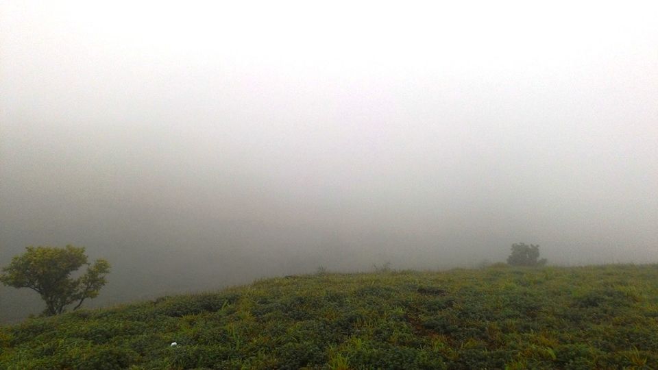 Photo of Mandalpatti Near Madikeri Is Where You Should Head For That Perfect Monsoon Road Trip 35/36 by Manish Menon