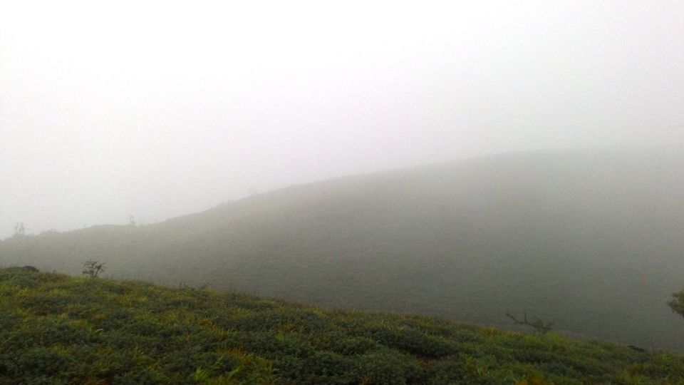 Photo of Mandalpatti Near Madikeri Is Where You Should Head For That Perfect Monsoon Road Trip 36/36 by Manish Menon