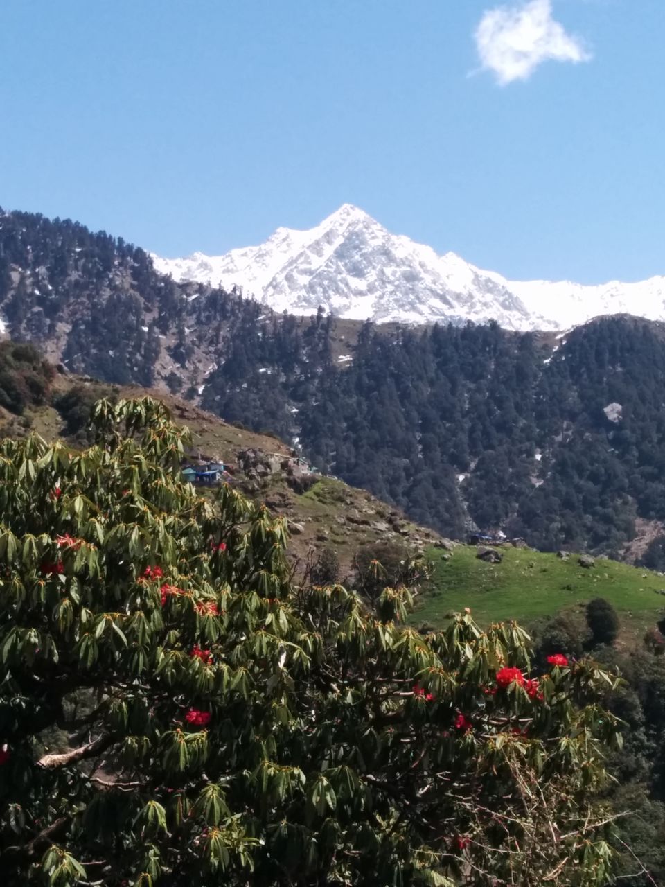 Photo of Triund – Heaven can be trekked too :) 12/15 by Nisha Sharma