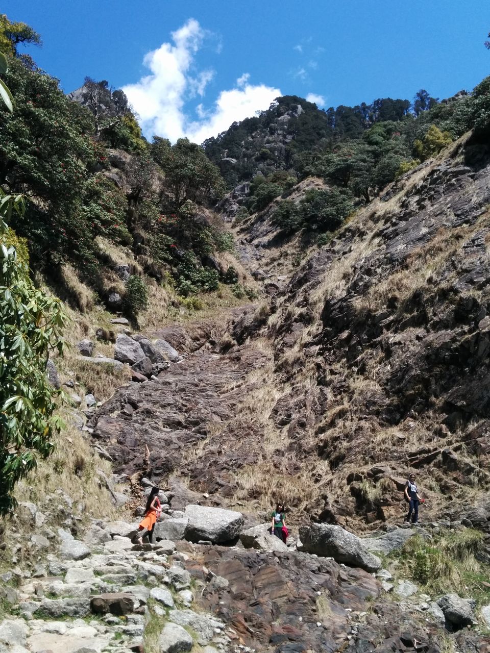 Photo of Triund – Heaven can be trekked too :) 13/15 by Nisha Sharma