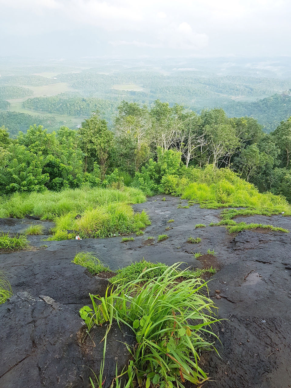 Photo of Wayanad, Kerala, India by Sushmit Surendran