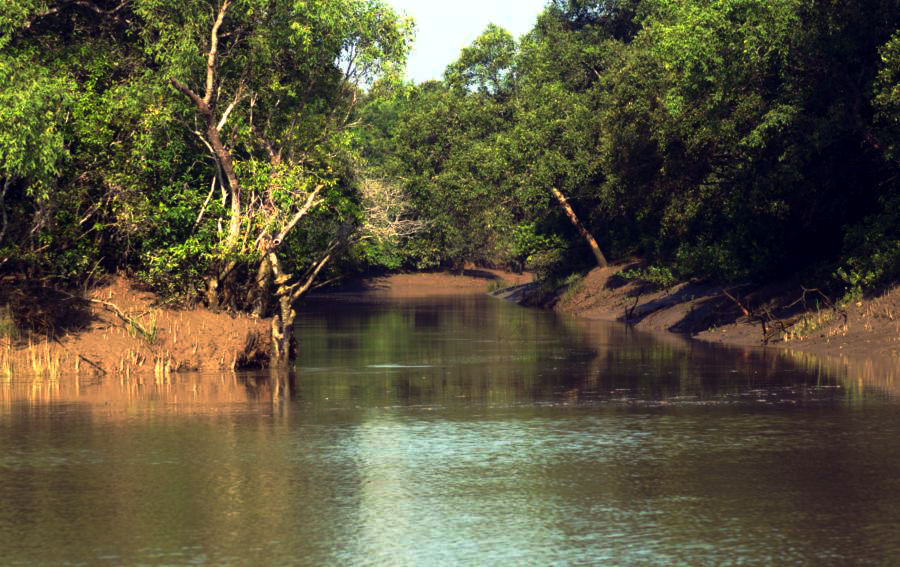 bhitarkanika odisha tourism