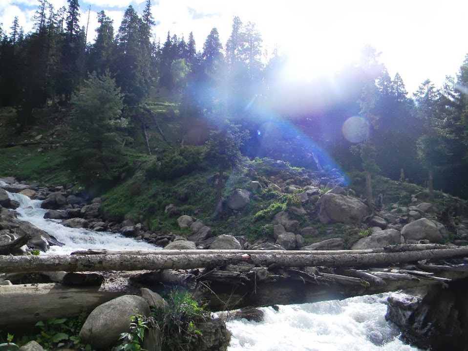 Photo of 7 Day Trek to Mantalai (Himachal Pradesh) 7/38 by Abhishek Mishra