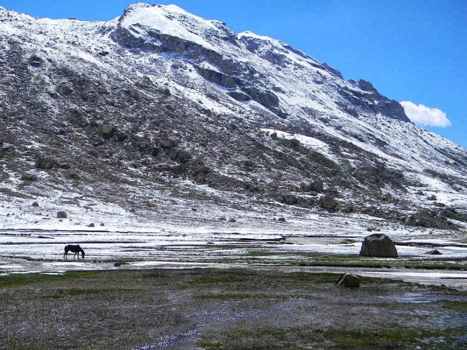 Photo of 7 Day Trek to Mantalai (Himachal Pradesh) 38/38 by Abhishek Mishra