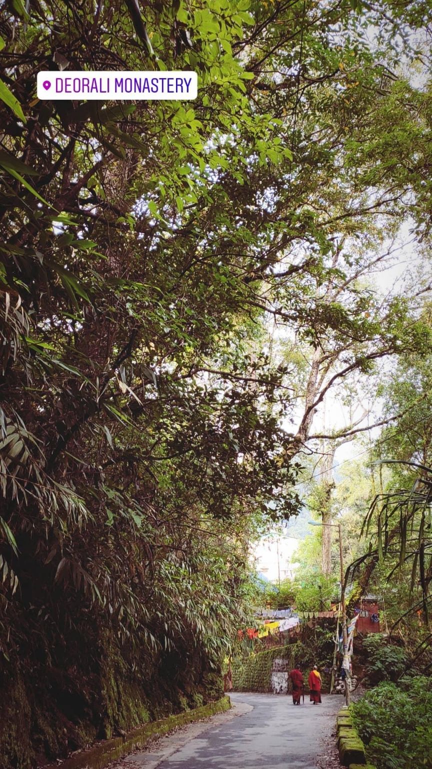 Photo of Explore north east | HOW TO REACH GANGTOK FROM SOUTH INDIA| Sikkim #tripotocommunity by wanderingdop