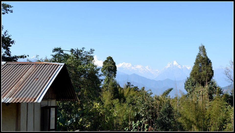 Photo of Fambonglho wild life Sanctuary, Dikchu - Rang Rang Rd, L. Mangshila, Sikkim, India by Soham Chakraborty