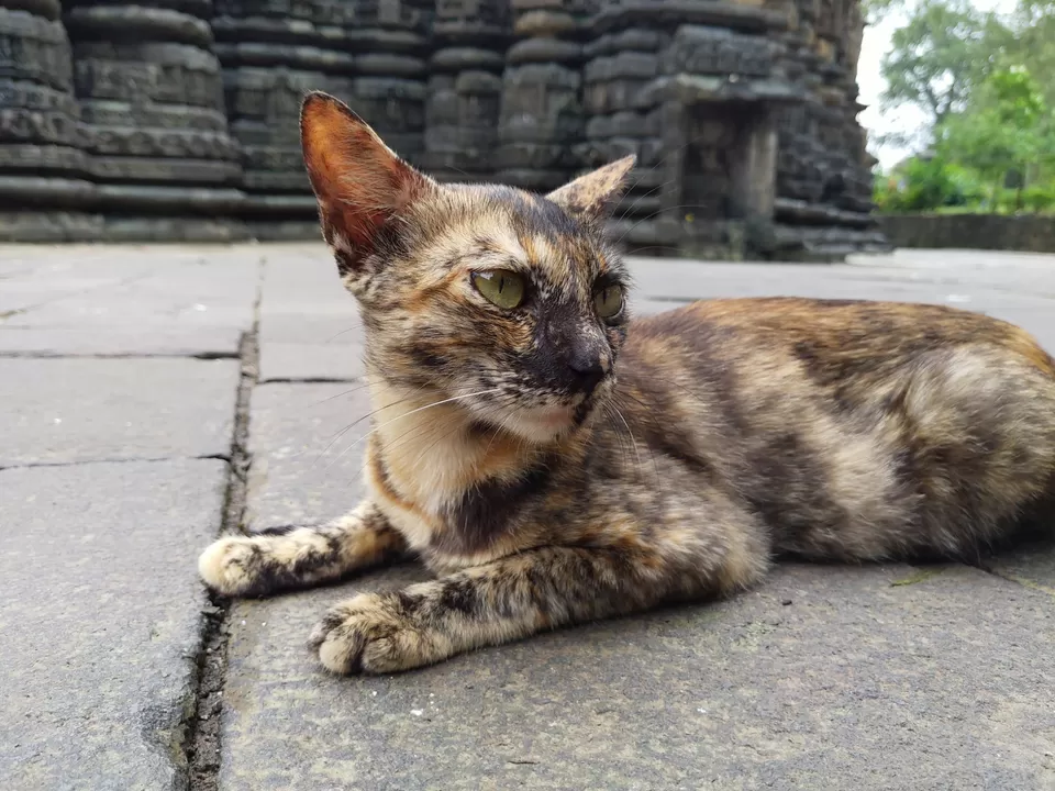 Photo of Ambarnath, Maharashtra, India by Kiran Hanumant Mengale