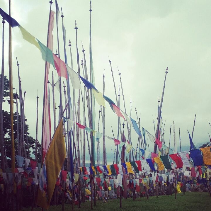 Photo of Unplanned journeys have the best memories: to Phunstoling, Bhutan by wee_gypsy_soul