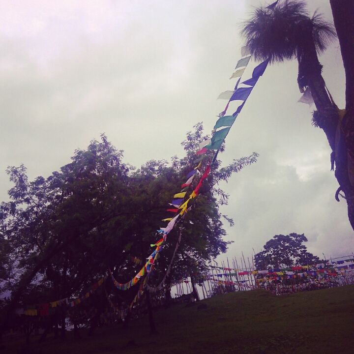 Photo of Unplanned journeys have the best memories: to Phunstoling, Bhutan by wee_gypsy_soul