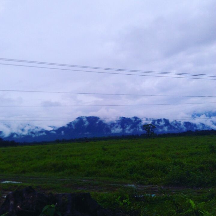 Photo of Unplanned journeys have the best memories: to Phunstoling, Bhutan by wee_gypsy_soul