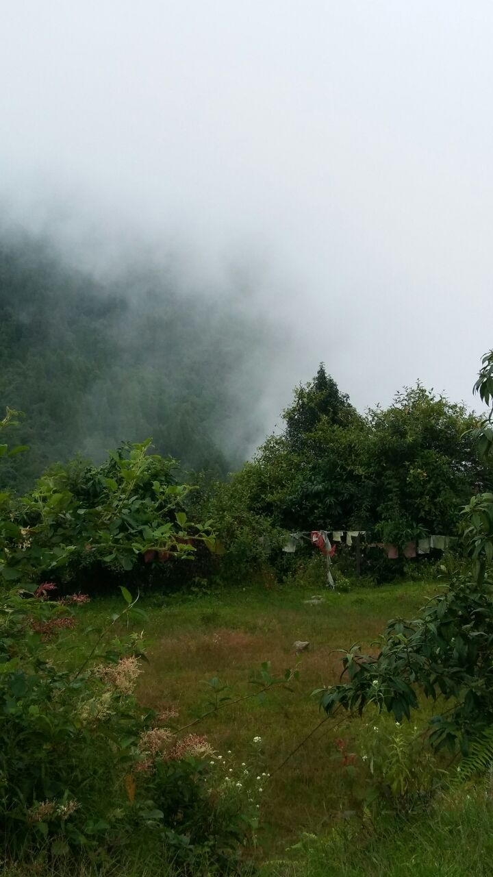 Photo of Beautiful Place to Get Lost- Gangtok by wee_gypsy_soul