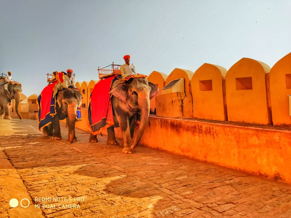 Photo of City Palace Jaipur, Gangori Bazaar, J.D.A. Market, Pink City, Jaipur, Rajasthan, India by wee_gypsy_soul